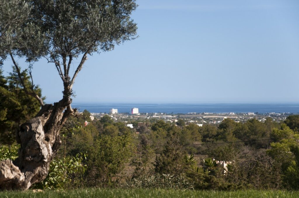 Villaforrent Casa Tyane (47)