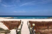 New restaurants in Ibiza that you NEED to check out!