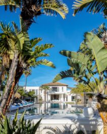 Creating a Beautiful Native Ibiza Garden