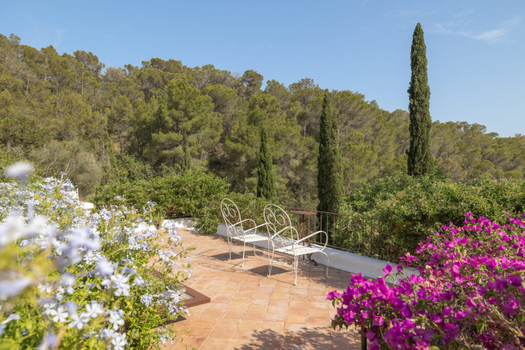 St E Finca 08