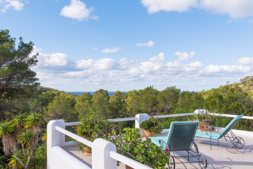 WEB RES CALATARIDA 12