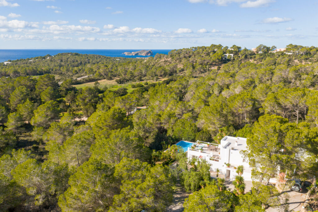 WEB RES CALATARIDA 4