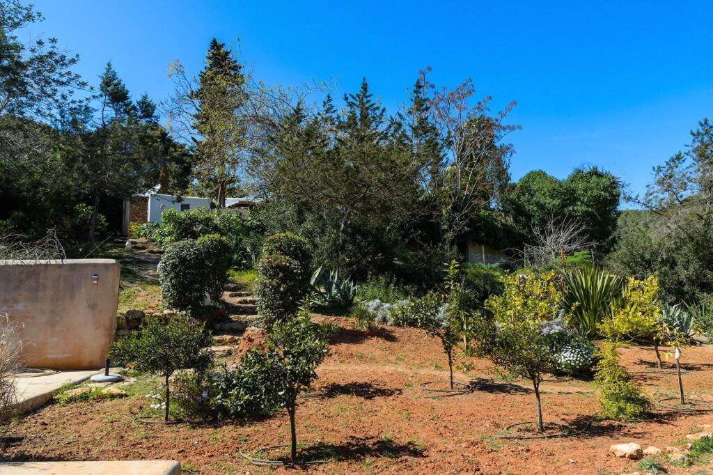 WhatsApp Image 2026 01 19 At 10.00.16 (1)