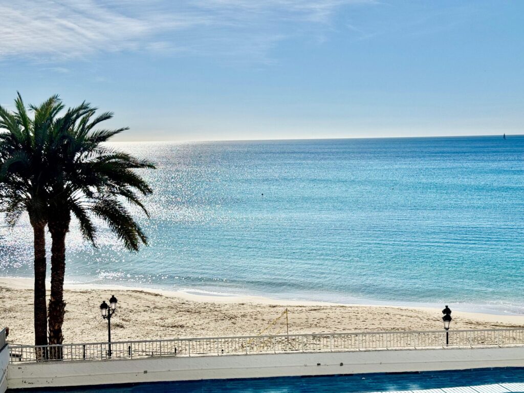 WhatsApp Image 2026 02 17 At 11.37.20 (2)