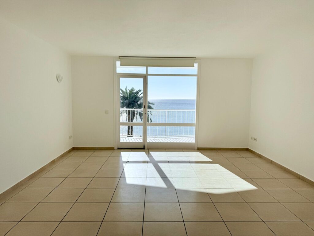 WhatsApp Image 2026 02 17 At 11.37.21 (1)