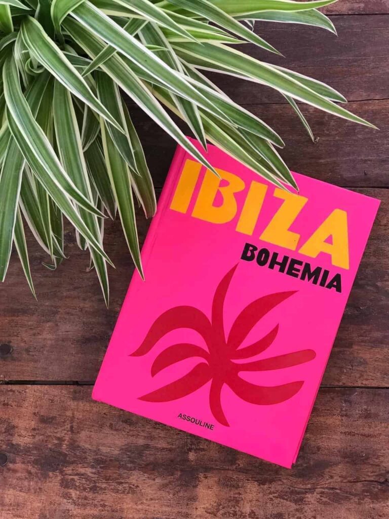 WhatsApp Image 2026 02 17 At 13.21.55