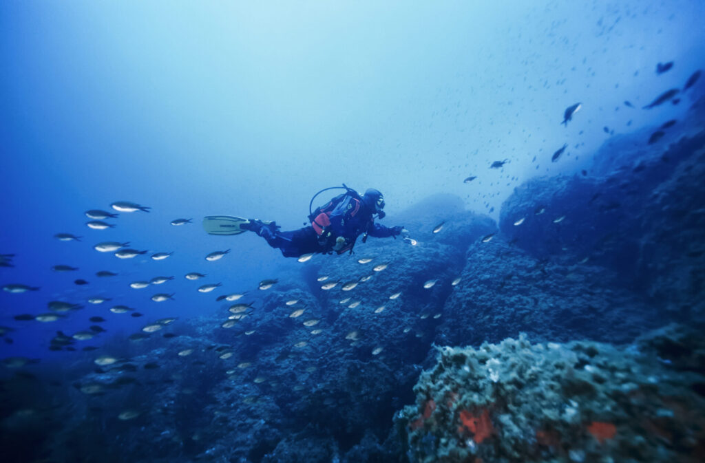 Shutterstock 344102303