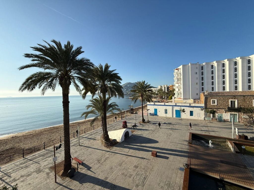 WhatsApp Image 2026 02 11 At 15.07.46 (3)