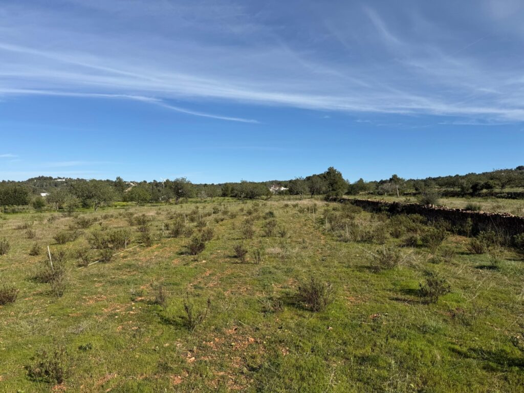 WhatsApp Image 2026 04 08 At 13.51.41 (1)