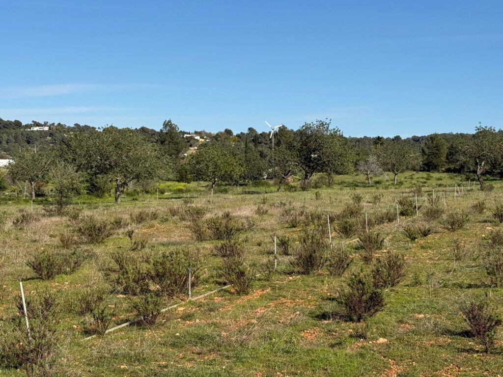 WhatsApp Image 2026 04 08 At 13.51.41 (2)