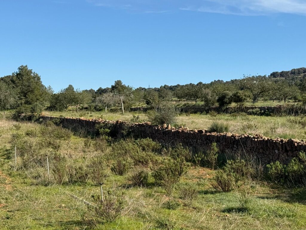 WhatsApp Image 2026 04 08 At 13.51.41 (3)