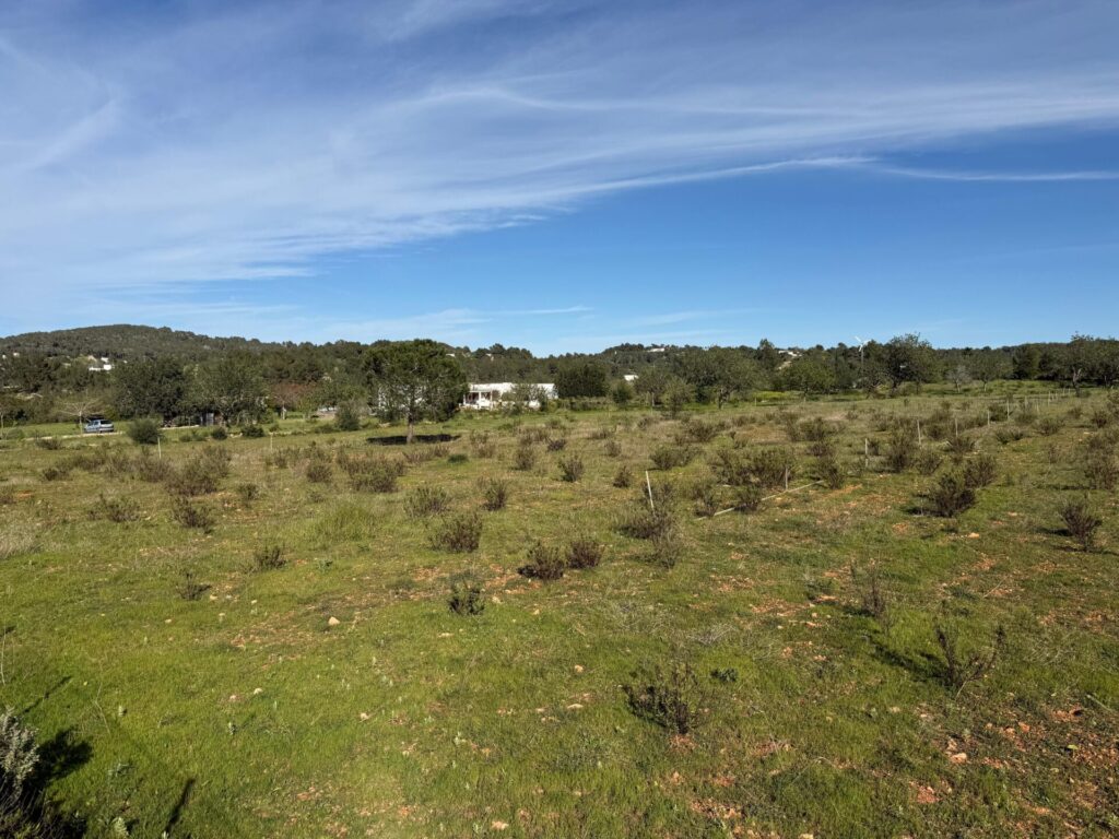 WhatsApp Image 2026 04 08 At 13.51.41 (4)