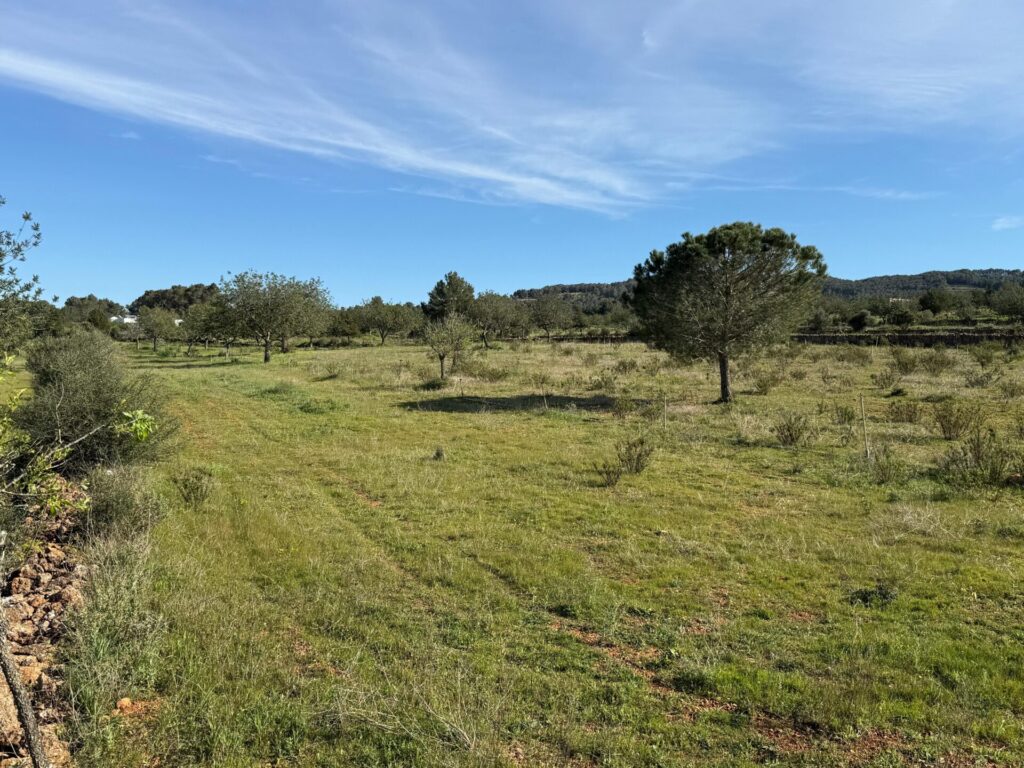 WhatsApp Image 2026 04 08 At 13.51.41 (5)