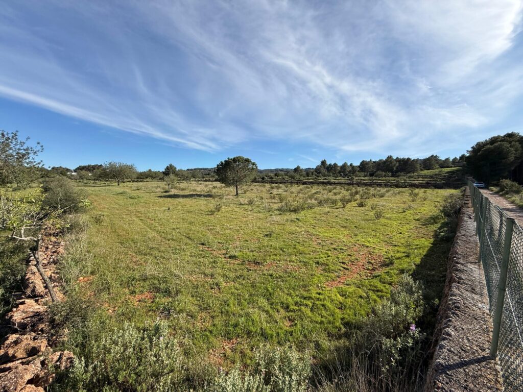 WhatsApp Image 2026 04 08 At 13.51.41 (6)