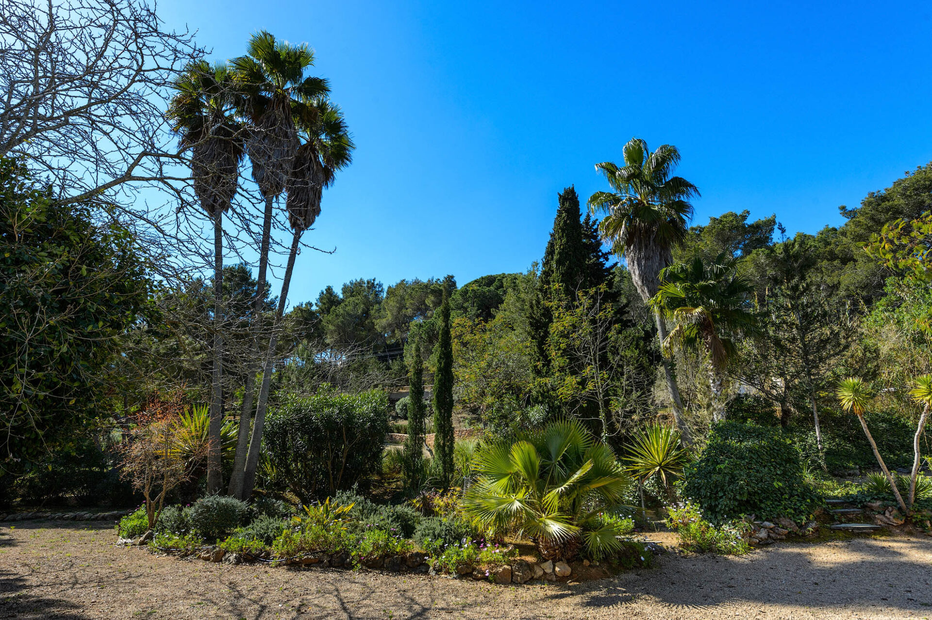 Finca Cerca Can Musson 004